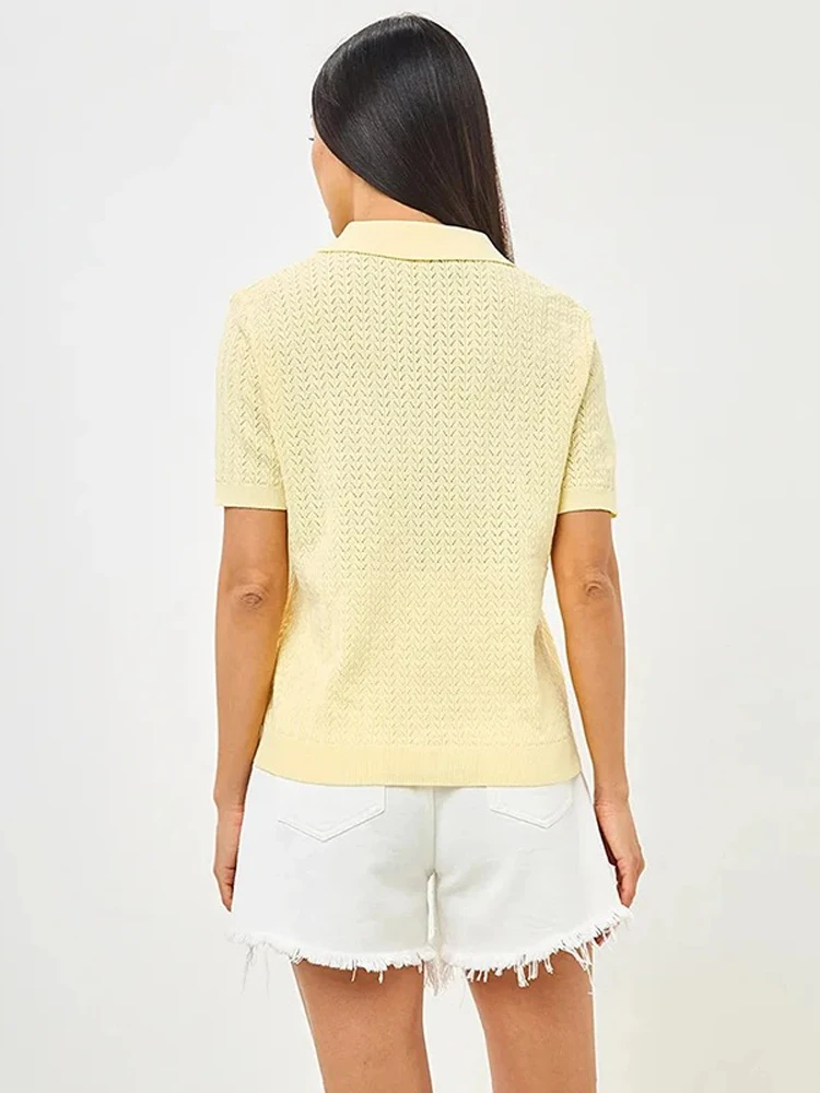 Women Solid Hollow Knitted T-shirt Short Sleeve Lady Elegant Loose Lapel Hot Tops 2026 Spring Summer Casual New Sweater Top 23 S90b3566663174483ba4d8d453b32d7ddF