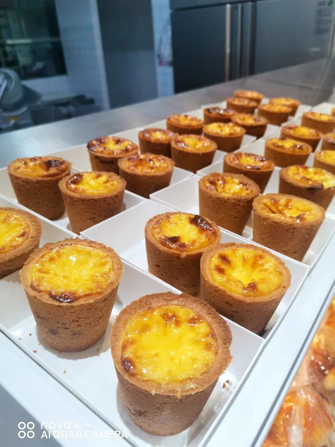 XEOLEO 수동 에그타르트 크러스트 프레스 기계 부품 PE 흰색 몰드 에그타르트 크러스트 프레스 도구