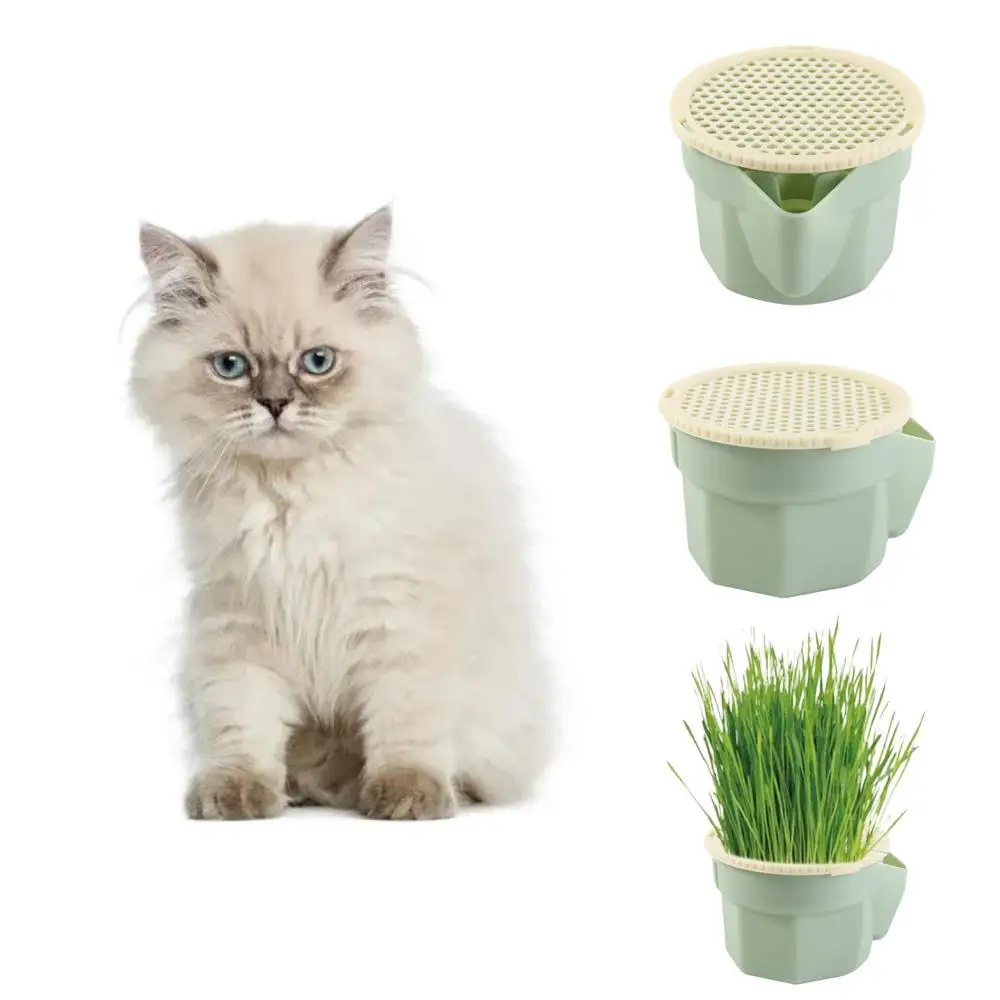 Hydroponic Cat Grass Box Planter Reusable Easy To Grow Soilless Planting Box Hierarchical Design Detachable Grass Sprouter Tray