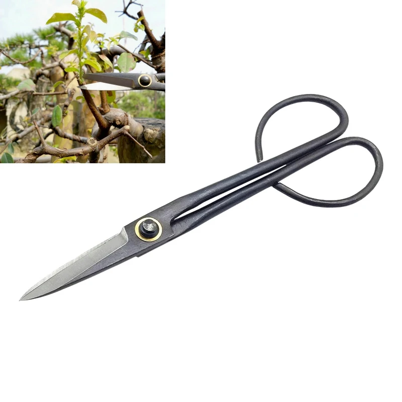 

21CM Beginner Bonsai Tool Long Handle Scissors Gardening Plant Branch Shears Garden Pruning Tools Bonsai Scissors