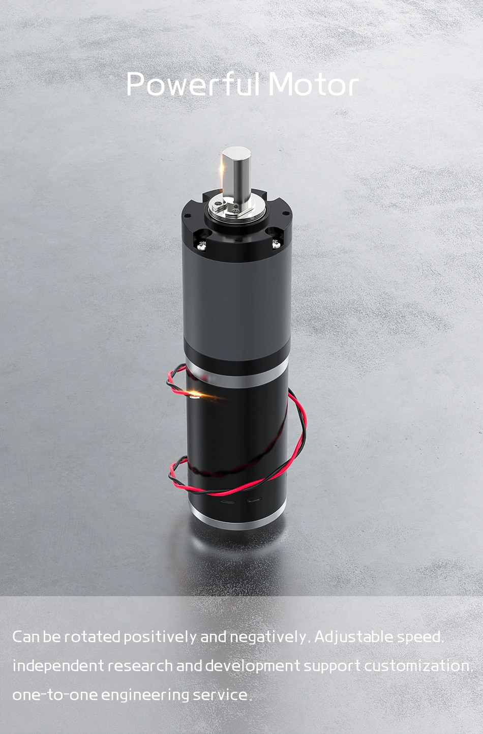 32GP-31ZY Miniatur-Planetengetriebe DC 12V 24V Reduktionsmotor mit Niedrigdrehzahlregelung, Hohem Drehmoment und Kompaktem Design – Detail 12