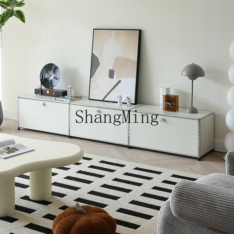 

HJ TV cabinet Modern simple living room ins wind stainless steel medieval storage storage module cabinet