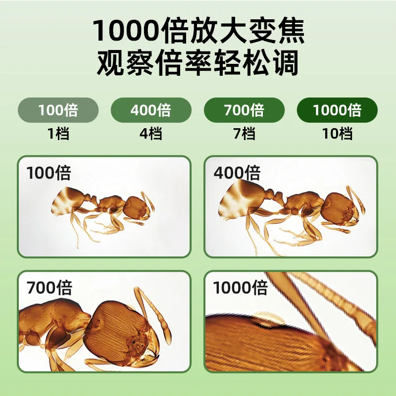 Intelligent optical high definition microscope children's portable handheld three-in-one scientific experiment toys boys