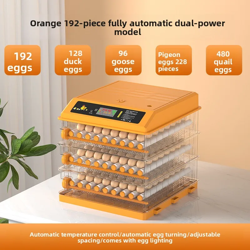 Fully Automatic Small Rectangle Household Mini Egg Incubator Hatching Machine Constant Temperature For Chicken Duck Goose Quail