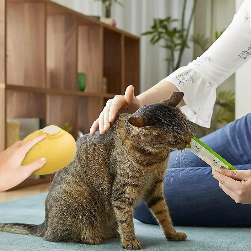 Cepillo vaporizador para mascotas, limpieza de perros y gatos, masaje en aerosol vapor, peine de belleza 4 en 1, cepillo de aseo para depilación con luz azul