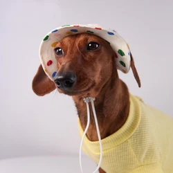 Gorra verano para perros pequeños y medianos - Protección solar