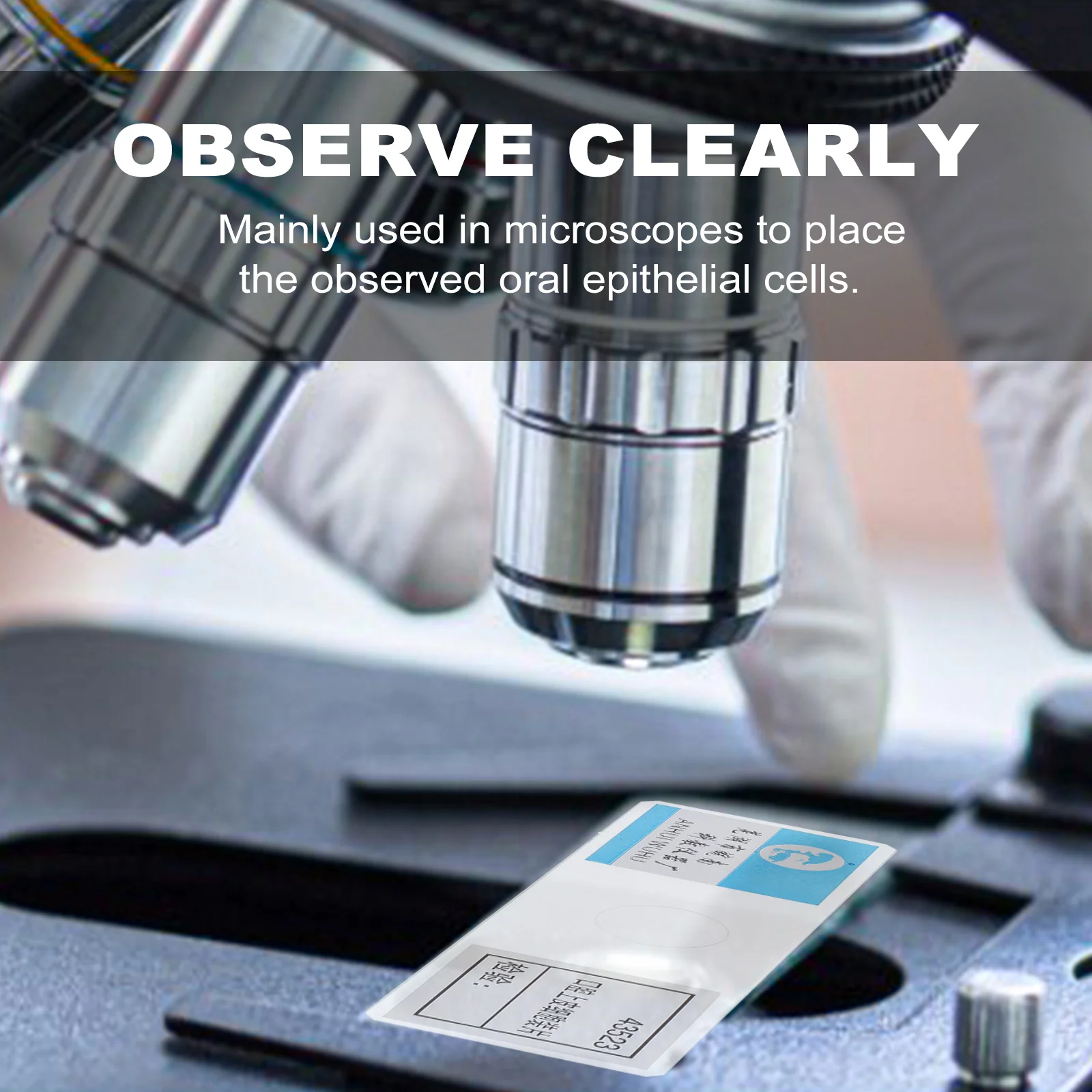 

5Pcs Prepared Microscope Slides Oral Epithelial Cells Glass Slides for Biology Class Demonstration Science Education