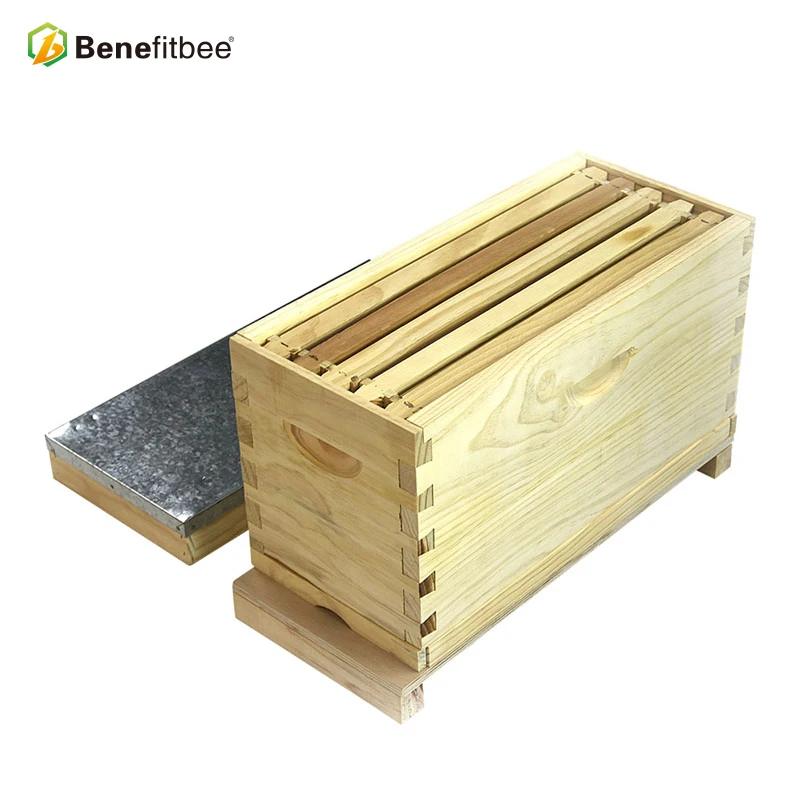 Beekeeping Manufacturers Wooden Nuc Box Dovetail Joint Metal Cover Beehive for Sale Queen Rearing Bee Breeding Hive
