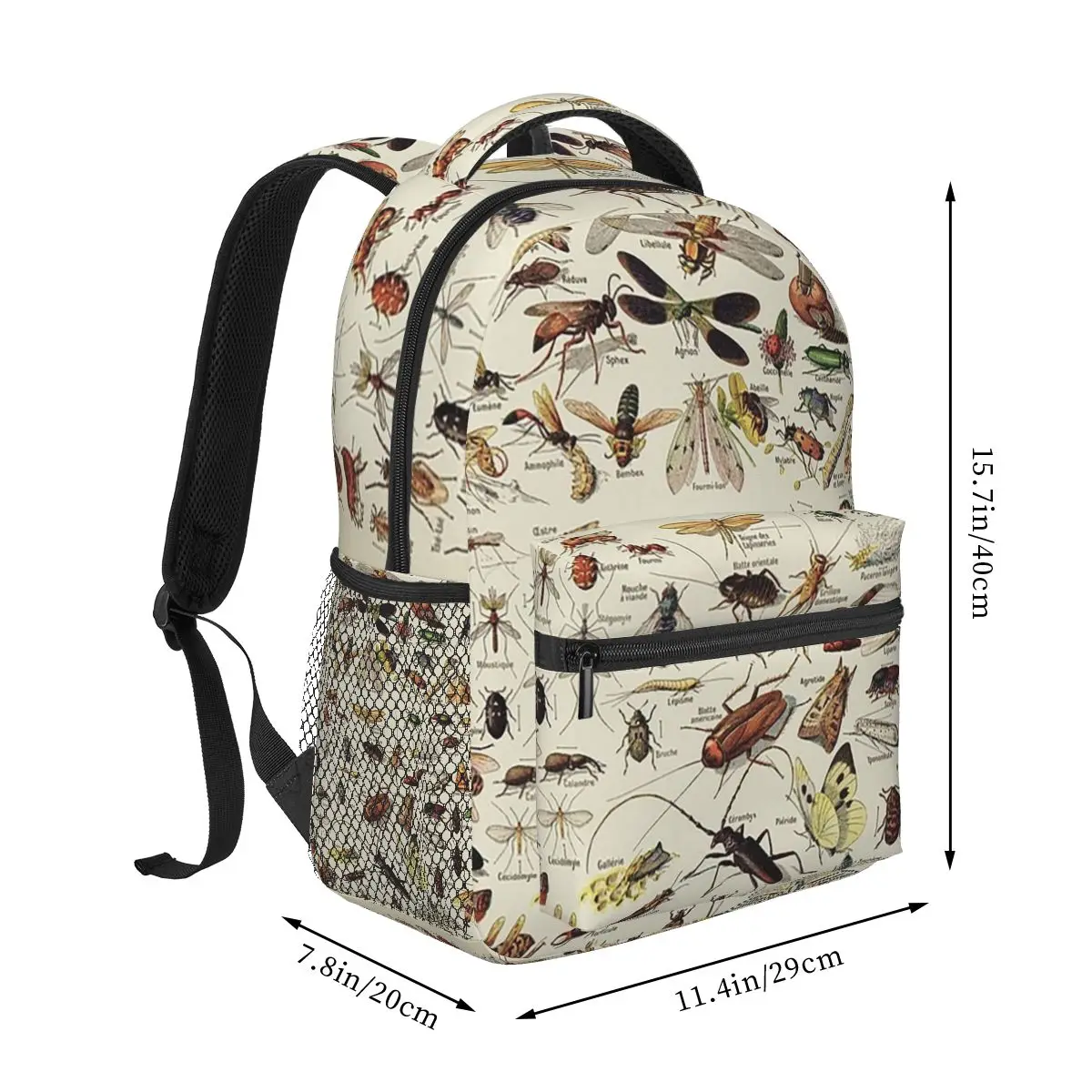 Insects Chart. Scientific Illustration, Text In French Backpacks Boys Girls Bookbag Children Bags Laptop Rucksack Shoulder Bag