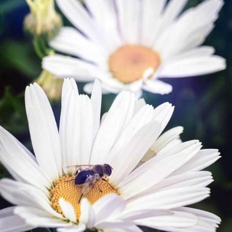 

RS резиновая черная шина 100*42 мм шина 17 мм шестигранное колесо для Arrma 1/7 Infraction Felony Limitless RC автомобильные обновленные детали