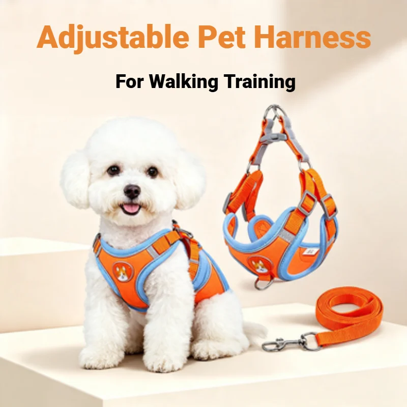 Verstelbare anti-trek hondentu - Running Gear Dog recensie en prijs
