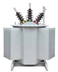 Factory Deliver Directly 800kva 1000kva 20kv Three Phase Oil Immersed Transformer 50Hz Single At Best Price