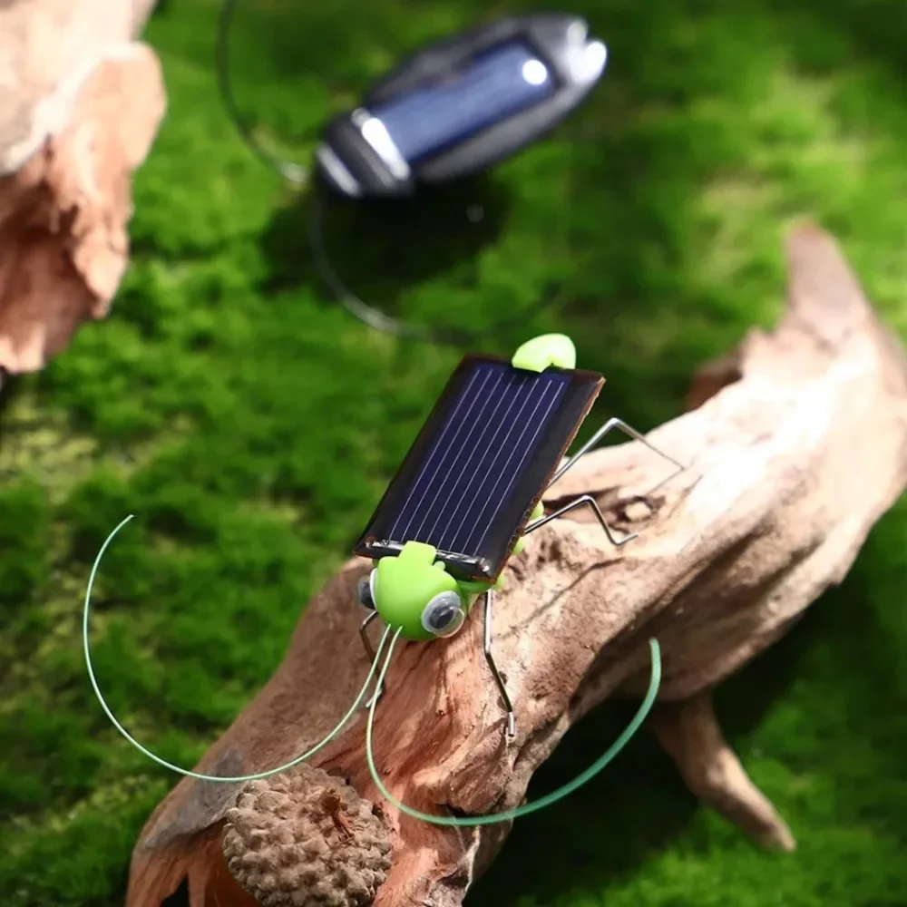 Grasshopper movido a energia solar, uma pequena criação tecnológica, um presente divertido de brincadeira para iluminação inteligência infantil