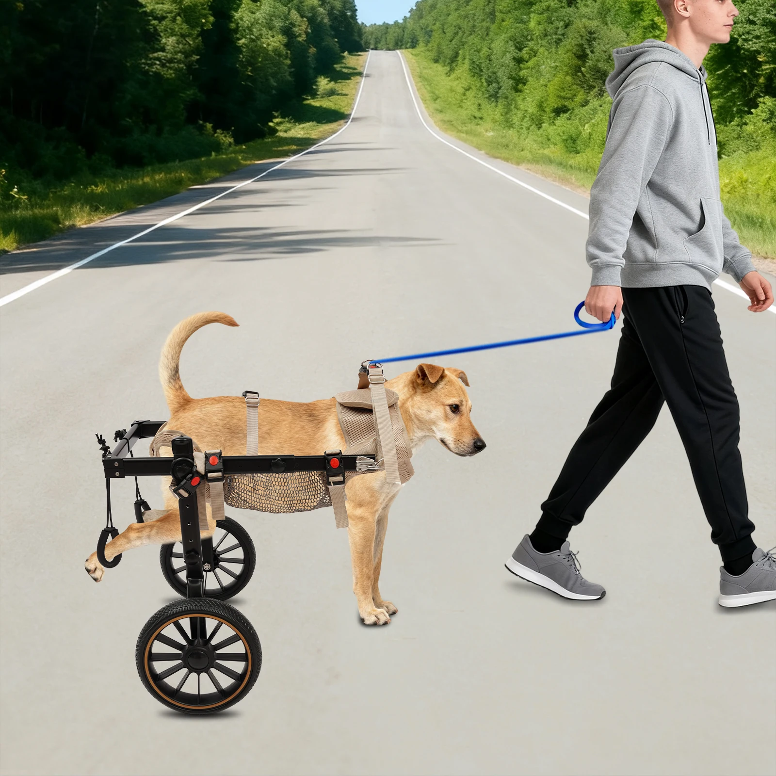2-Rad-Hundewagen für mittelgroße/große Hunde – Gehhilfe und Rehabilitationsassistent XXL für ältere Hunde mit Hinterbeinproblemen – Detail 10
