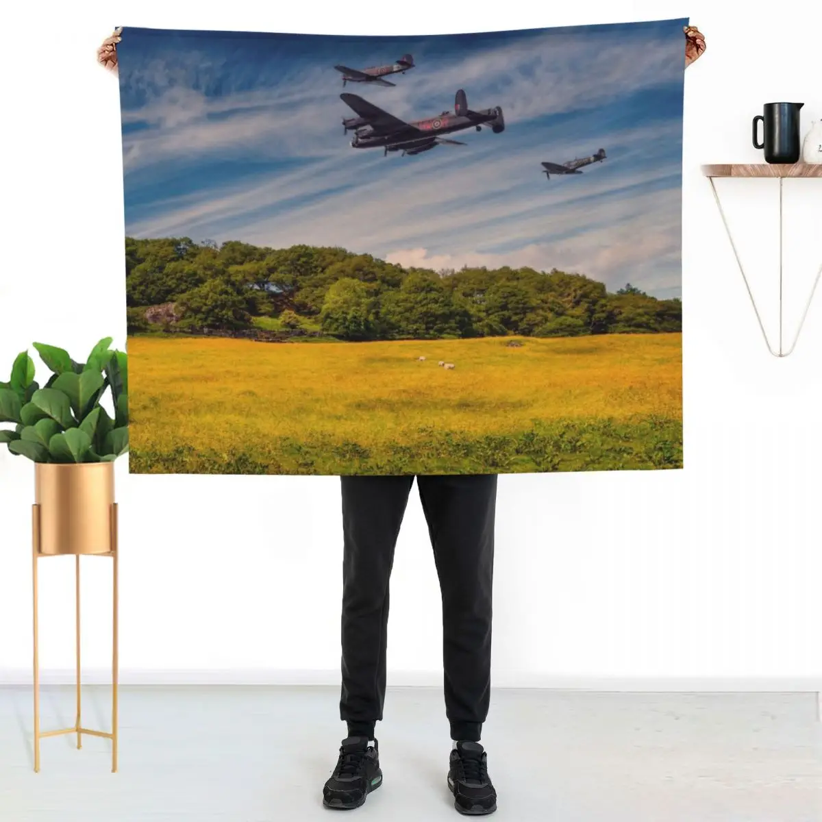 Battle of Britain Memorial Flight Throw Blanket Furrys blankets and throws blankets ands Cute Plaid Moving Heavy Blankets