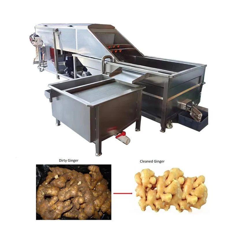 آلة تقشير وتقطيع الزنجبيل ذات التصميم المدمج #1
