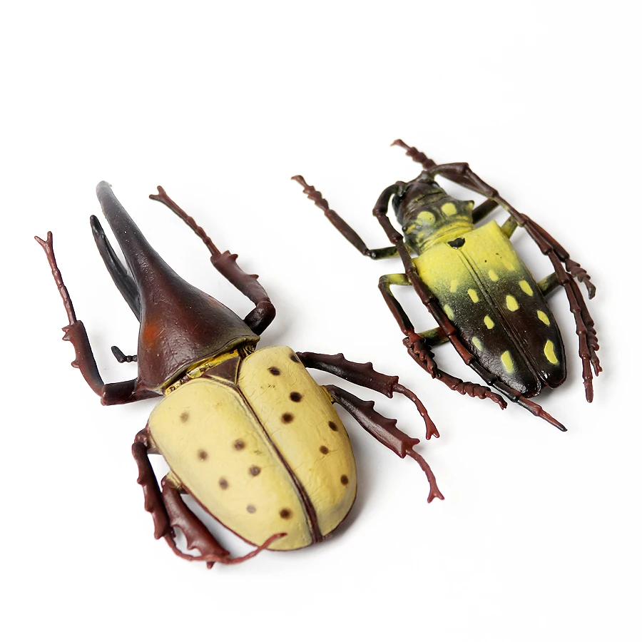 Realistische Plastic Bugs Beeldjes Met Cicade Cricket Scarabee Bee Ant Spider Kever Insecten Cijfers Voor Fairy Garden Decoratie