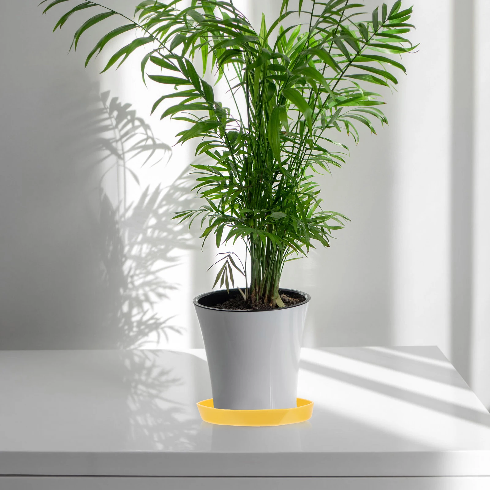 

5 шт. бытовой держатель для цветочного горшка, комнатные горшки для растений, лотки, пластиковый горшок из смолы, вода