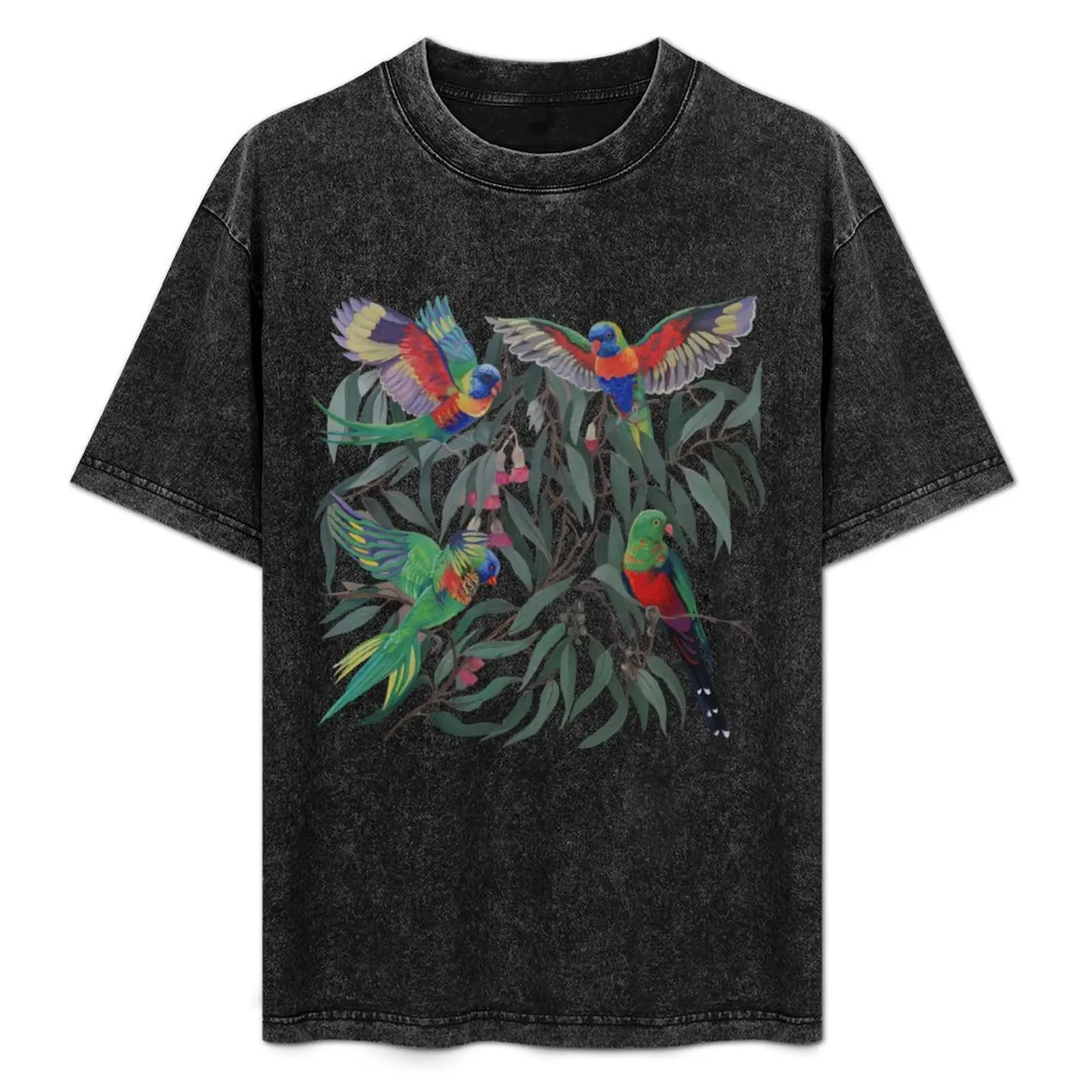 Birds from Paradise. Rosellas T-Shirt Outdoor Sports Lightweight Tee