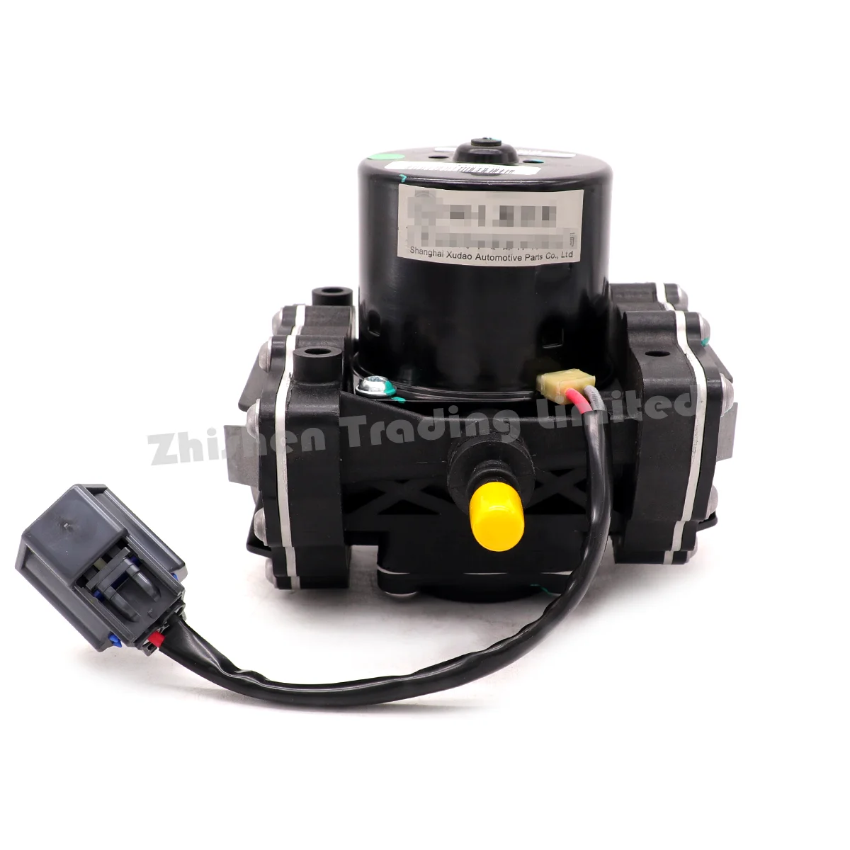 For BAIC high-quality Auto Spare Part BJEV EC200 EC220 Brake booster pump  Electric vacuum pump  Brake assist air pump E00094035