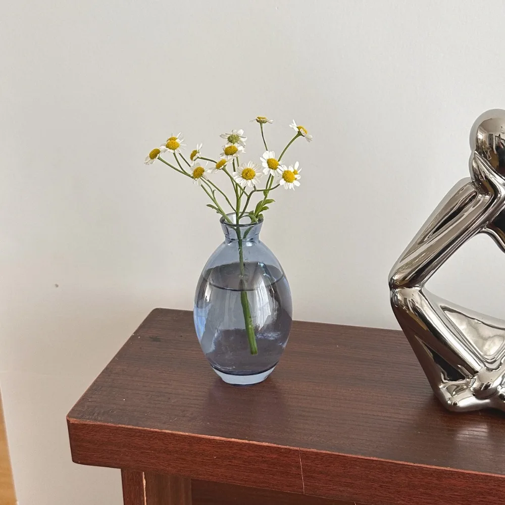 Simple Transparent Mini Flower Vase Home Decoration Glass Hydroponic Plant Bottle Desktop Small Flower Arrangement Pot Home