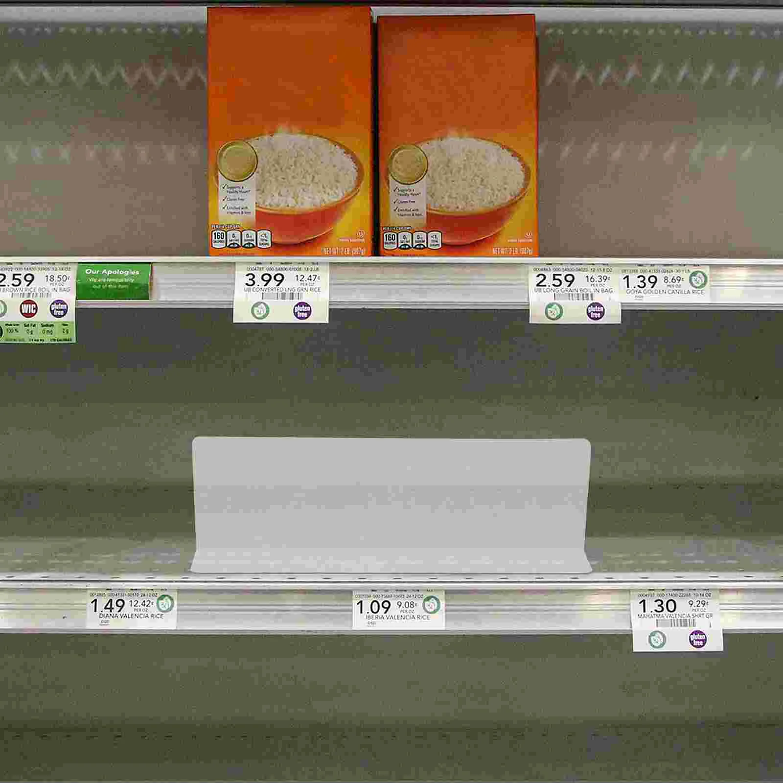 

10 Pcs Rack Shelf Supermarket Baffle L-shaped Pvc Transparent Plastic Divider Dividers for Wire Shelving Retail Clear Vertical