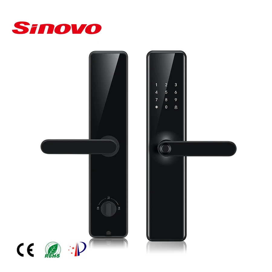 Keyless Entry System Controle Remoto Casa Inteligente Tuya WiFi Bloqueio da porta biométrico TTLock App Eletrônico Vietnã NFC Door Lock