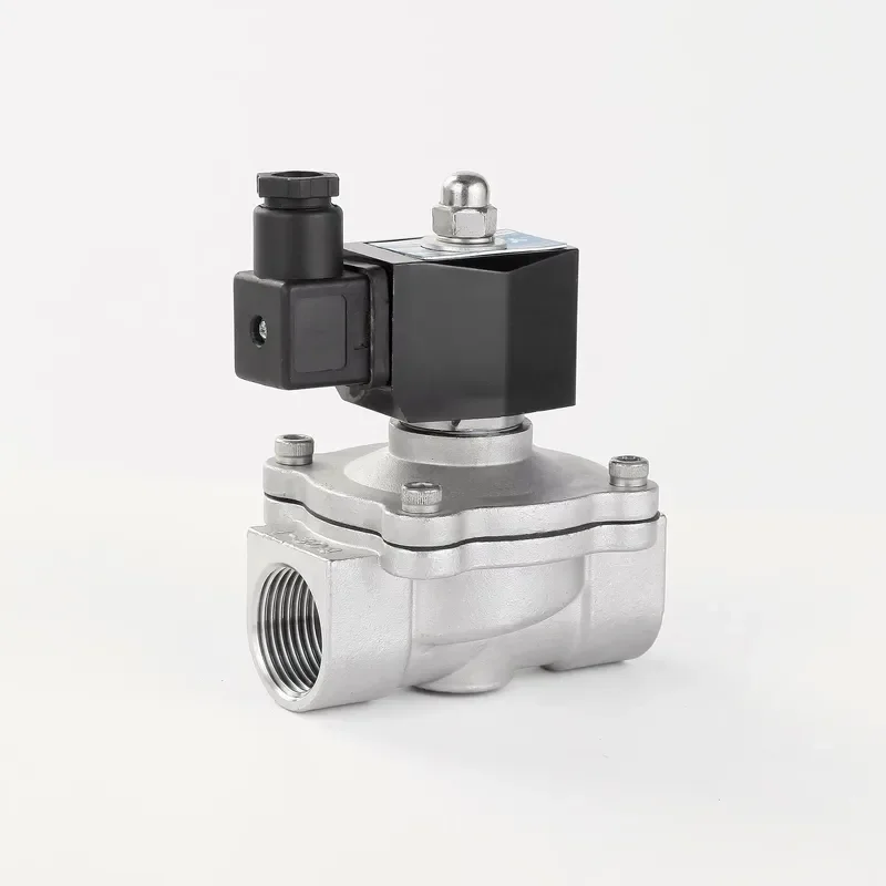 2S250-25 1 Inch 2/2 Way Stainless Steel Direct-acting AC220V 24V Normal Closed Electric Water Solenoid Valve