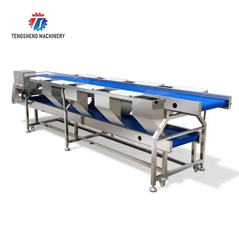 

2026Good Quality Double Layer Sorting Conveyor /picking Table Fruit Vegetable Stainless Steel Sorting Table
