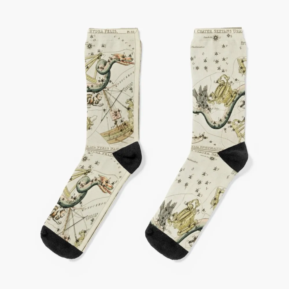 Antique Constellations Socks anime soccer anti-slip Socks Ladies Men's