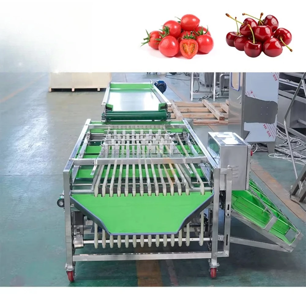 Industrial Sour Sweet Lemon Pineapple Olive Cherry Size Calibrating Roller Conveyor Sorting Sorter Grader Machine
