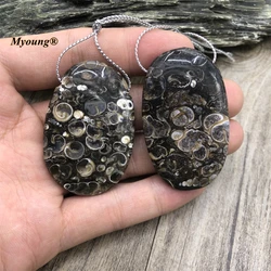 Egg Shape Large Natural Ocean Reliquiae Conch Ammonite Fossils Stone Slice Pendant MY221017