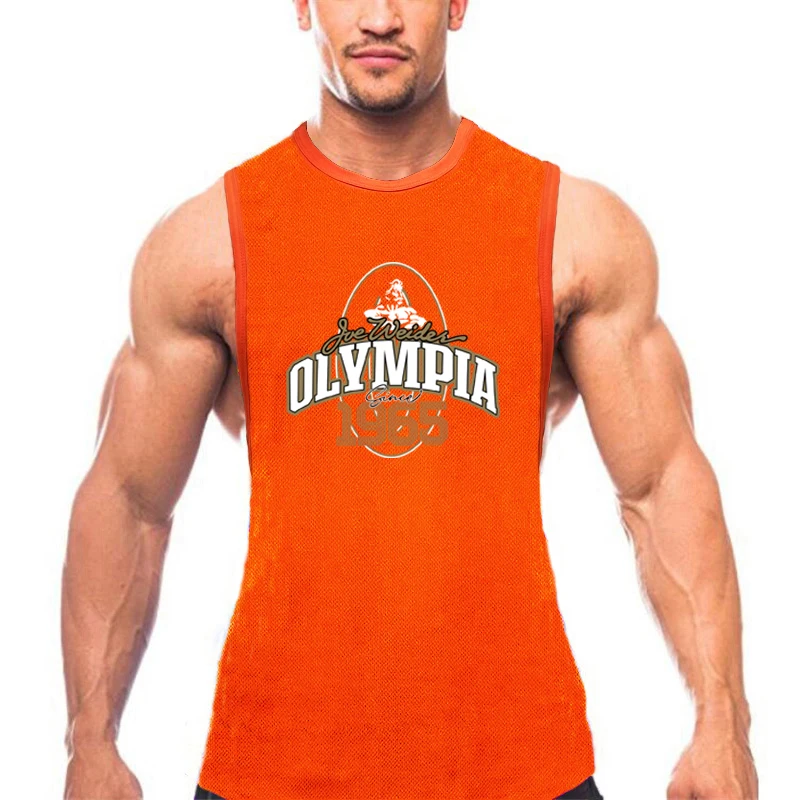 Summer Mesh Gym Tank Top Men Loose Quick Dry Fitness Sleeveless shirt Bodybuilding Workout Clothing O-Neck Sports Singlets