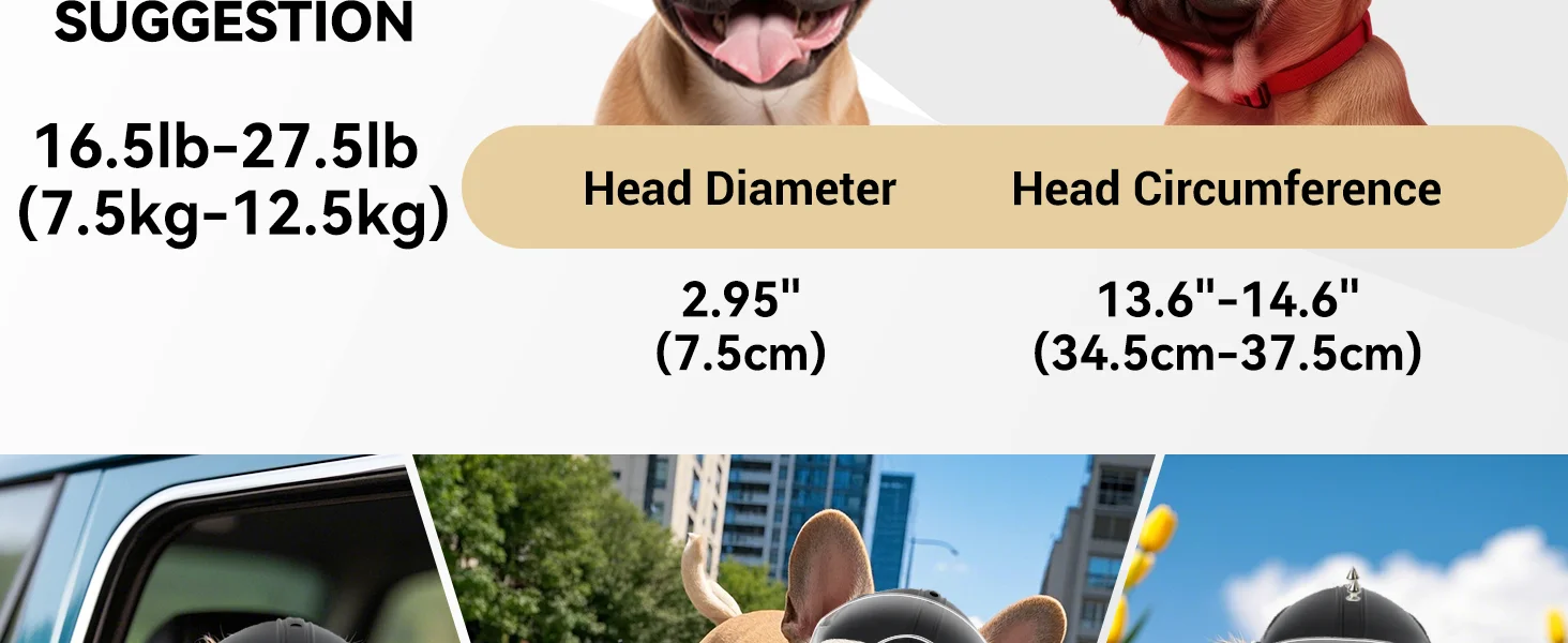 dog helmet