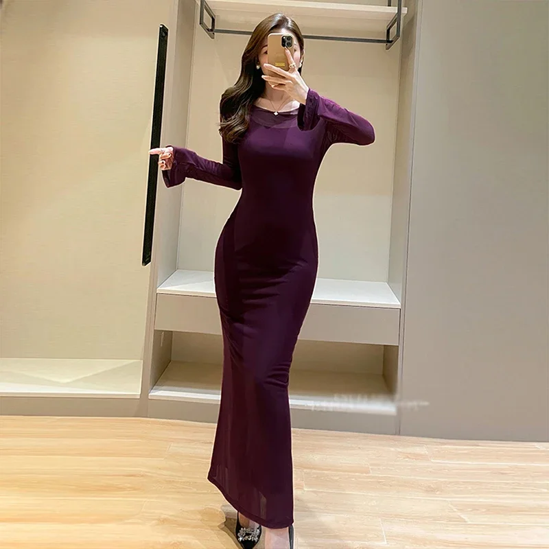 

2024 Spring New Fashion Women Spaghetti Strap Mesh Long Sleeve Elasticity Perspective Solid Color Bodycon Long Two Piece Dress