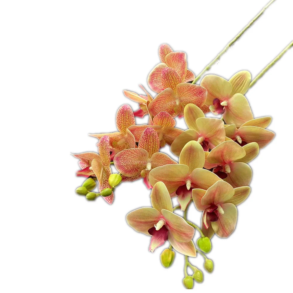 One Real Touch Butterfly Orchid Flower Branch Seven Heads Artificial Moth Phalaenopsis Orchid