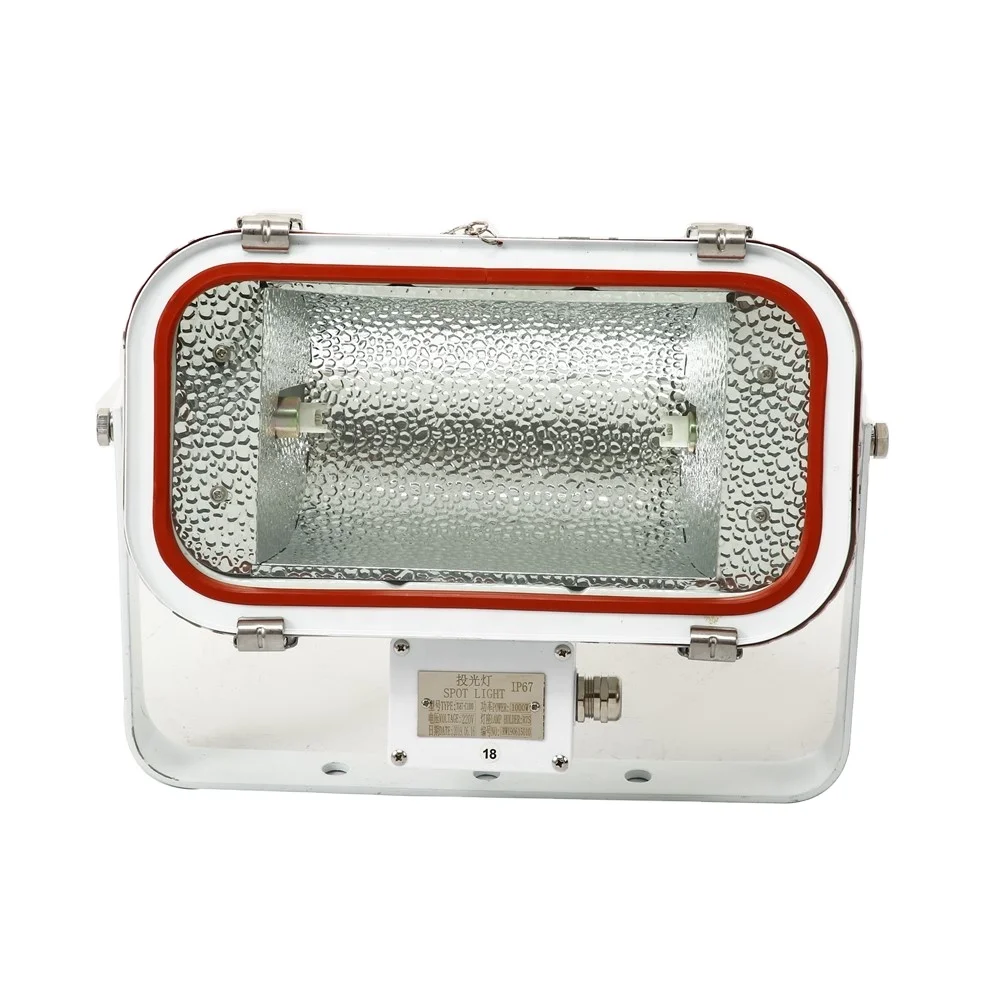 TG67 500W 1000W Halogen Light Stainless Steel Waterproof Flood Light Spot Light