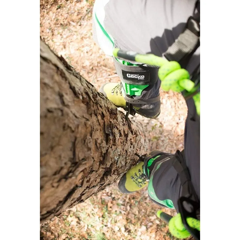 Escaladores de acero Gecko con gaffs de árbol (par) (41150)