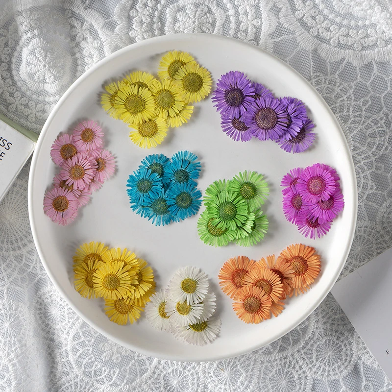 

60Pcs Small Flying Daisies, Real Flowers, Dried Flowers, Pressed Flowers, Pressed Flower Art, Real Flower Face Makeup, Plant Specimens, Resin Phone Case
