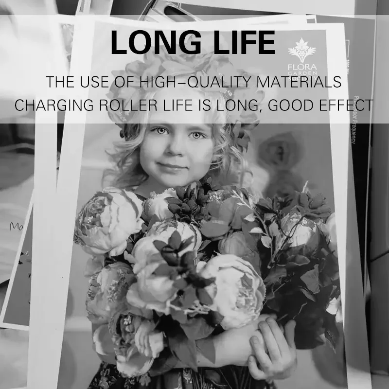 ريكو MP C 8002 6502 5100 5110 5200 5210 651 751 8003 6503 7100 7110 7200 7220 9110 5310 PCR تنظيف أسطوانة الشحن الأساسية