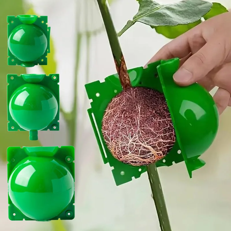 Bola de enraizamiento para plantas, suministros de jardinería, caja de propagación de alta presión, bola para injerto de cortes, equipo de cría TMZ