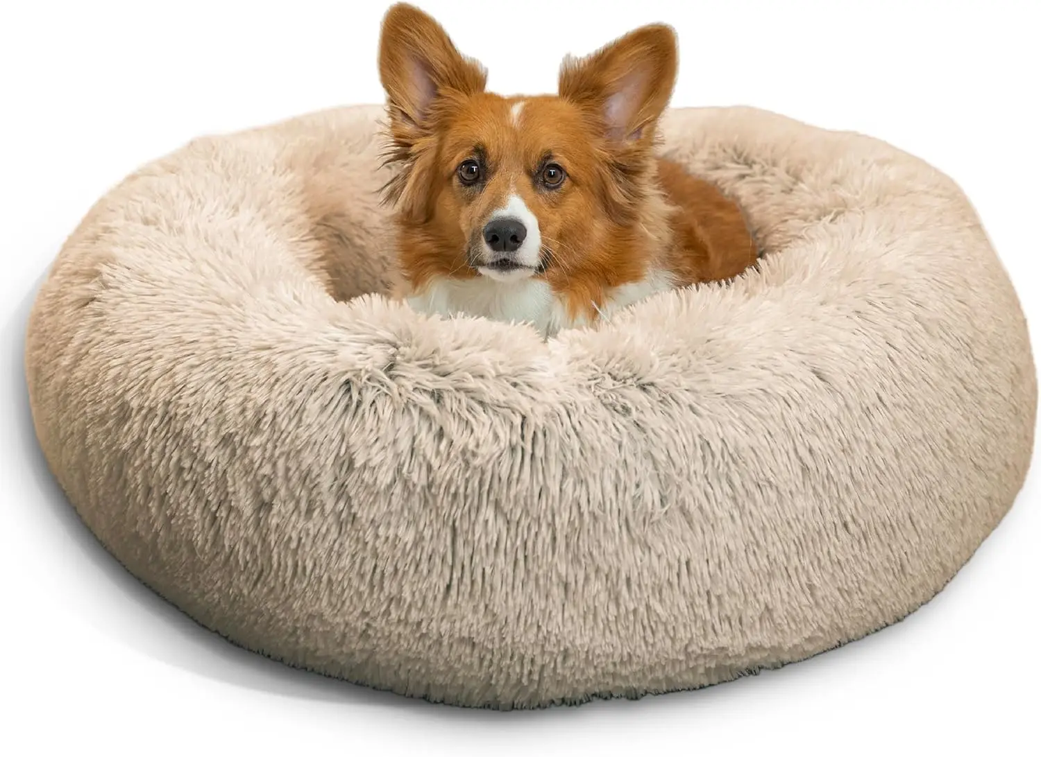 Cozy Donut Dog Bed …