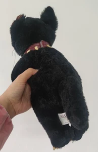 Kucing Prajurit Hollyleaf Prajurit Kucing Klan Guntur yang Mewah Dapat Dikoleksi 10 kucing prajurit penjualan terbaik - №