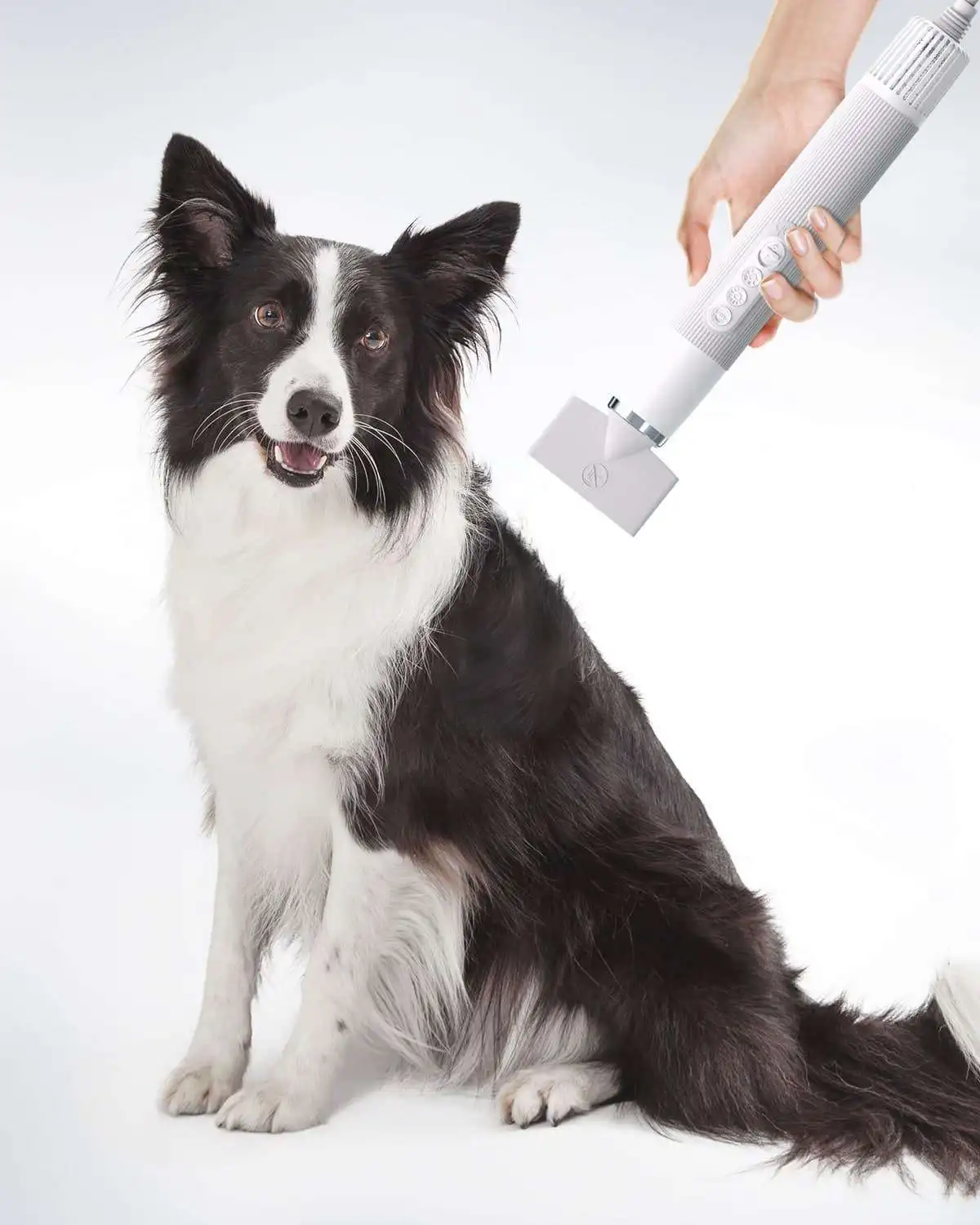 Pet water blower hair dryer cat dog dryer high power cat and dog bathing miracle machine