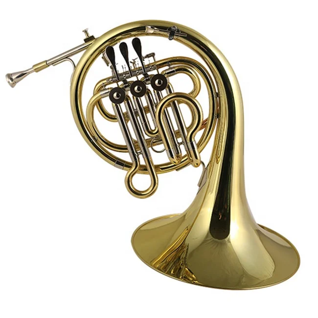 

Hooqu High Quality French Horn Instrument Professional Bell French Horn With Good Price