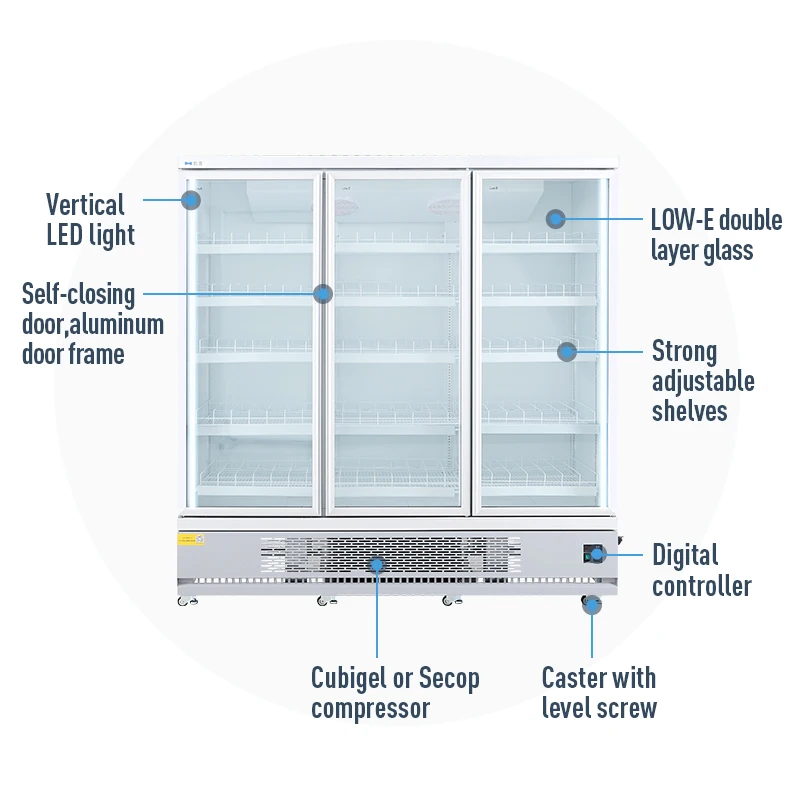 Commercial Upright Glass Door Vertical Display Freezer