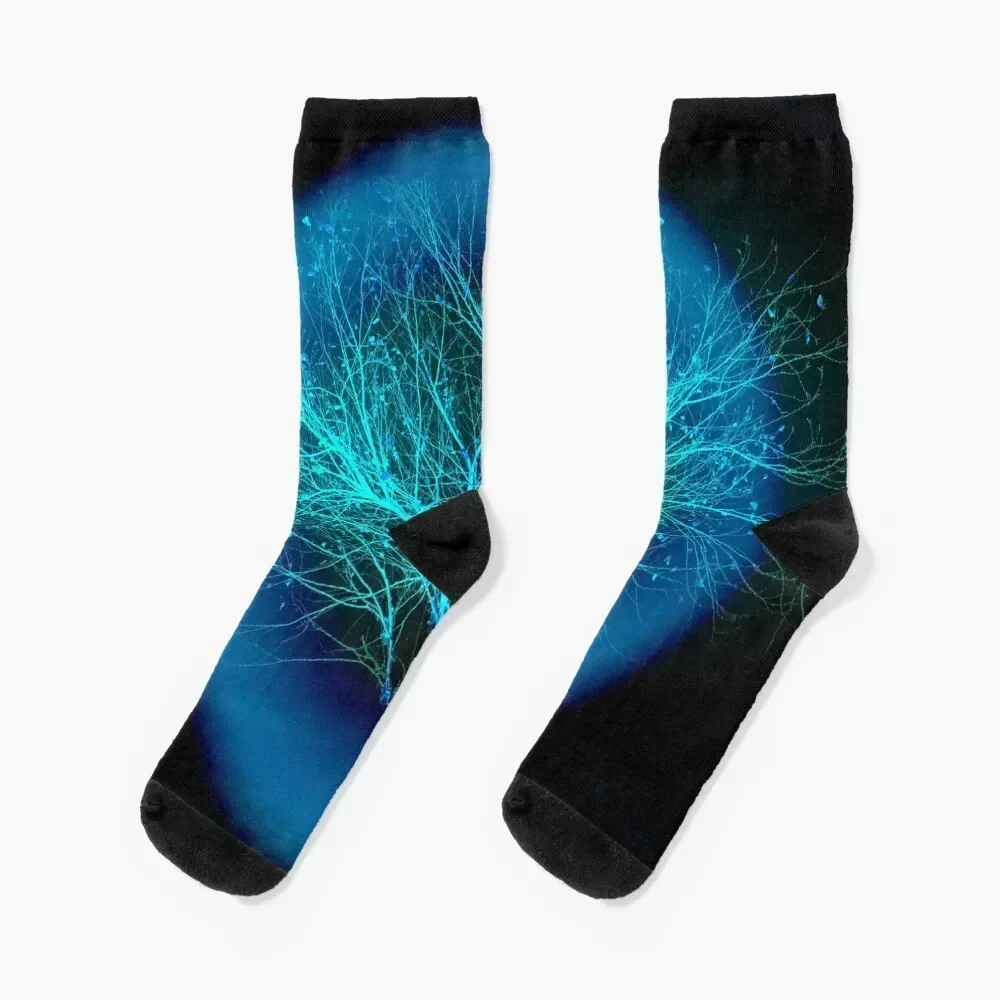 

Neurons Socks Stockings man Toe sports Hiking boots snow Socks Ladies Men's