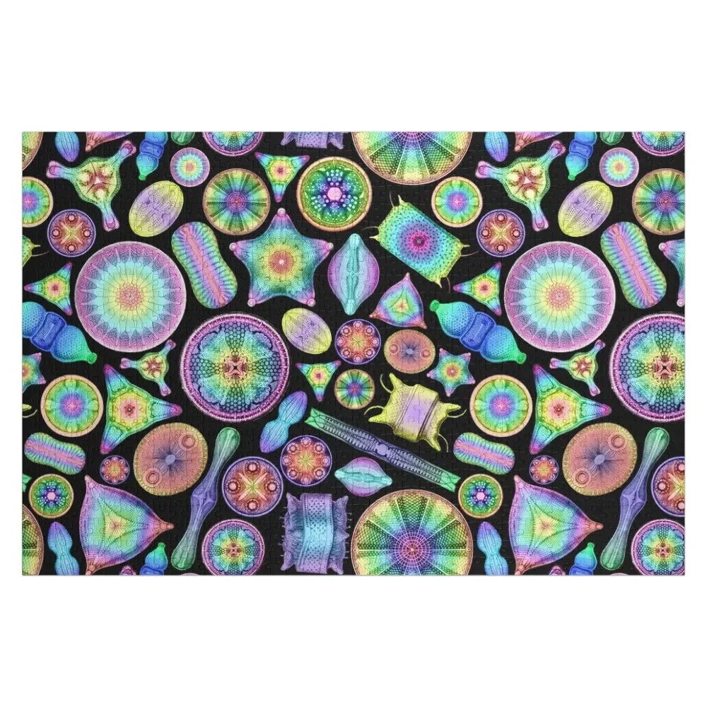 

Ernst Haeckel Rainbow Diatoms on Black Jigsaw Puzzle Personalized Toy Personalised Baby Wooden Puzzle