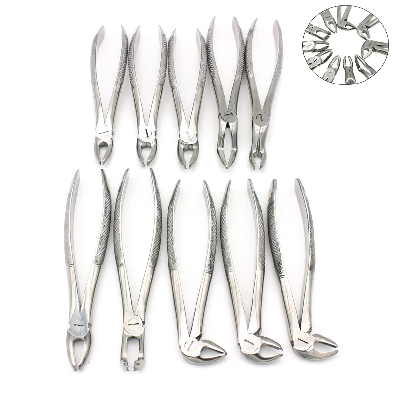 1Set 10pc Stainless Steel Dental Extraction Forceps Pliers kit Dental Surgical Tooth Extraction Forcep Kit for Adults Tools