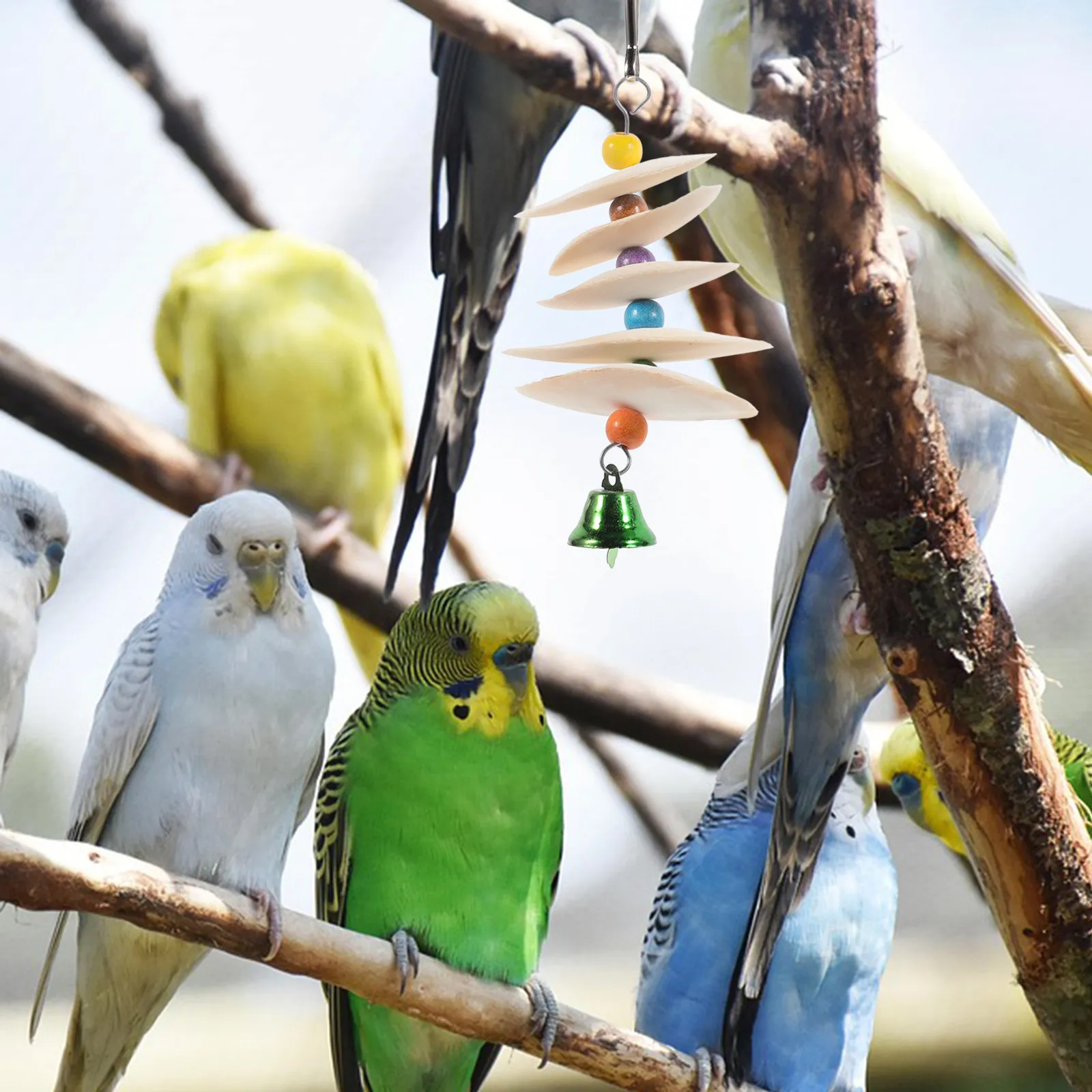 Pet Parrot Cuttlebone Molar Chew Calcium Supplement Cage Hanging Calcium Plaything Cuttlebone Chew Toy Molar String